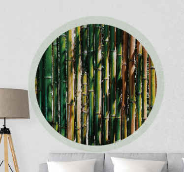 Fototapete Wohnzimmer Waldbambus im kreis - TenStickers