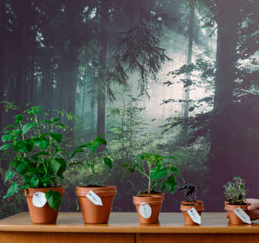 深い薄緑の森の壁の壁画 - TENSTICKERS