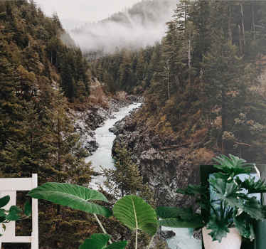 Mokrá hmla so stromami lesná fototapeta - Tenstickers