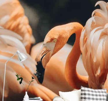 Zidni slikar s narančastim flamingom u slabom svjetlu - TenStickers