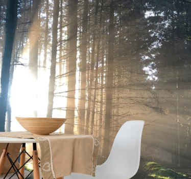 A fákon áttört fény falfestmény - TenStickers