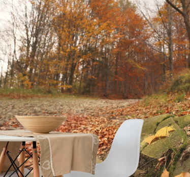 φθινοπωρινό δάσος beskidy φύση τοίχο - TenStickers