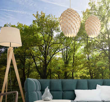 日差しの森の壁の壁画 - TENSTICKERS