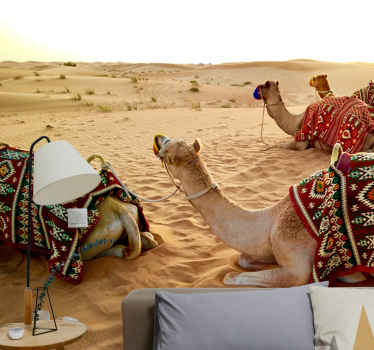 Fotomural desierto camellos en el desierto - TenVinilo
