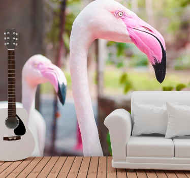 Mural para salón Buena foto de lindos flamencos - TenVinilo