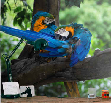 Colorful parrots in the jungle wall mural - TenStickers