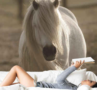 Mural de perete cu cal alb - TenStickers