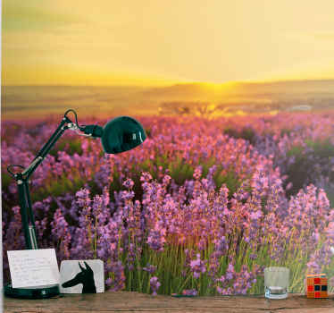 阳光明媚的壁画上的薰衣草田 - TenStickers