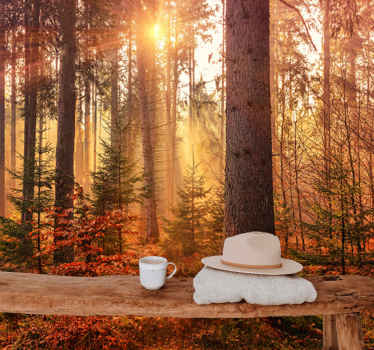 Fototapete Wald sonnenbeschienenes waldglühen - TenStickers