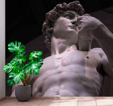Pictura murală de artă clasică a lui michelangelo david - TenStickers