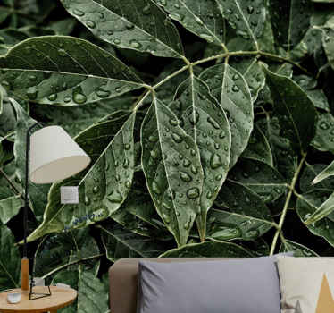 Fototapeta listí s kapkami rosy v obývacím pokoji - TenStickers