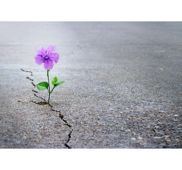 Transform any room in your home into an abstract Wonderland with this amazing 3D flower wall mural. Well do I delivery available!