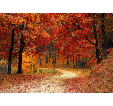 Bring all the beauty of the outdoors into your home with this amazing autumnal mural wallpaper. Free worldwide delivery available!