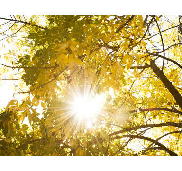 Bring the beautiful outdoors into your home with ease with this forest wall mural. Fantastically priced, superb quality, made to fit into any home