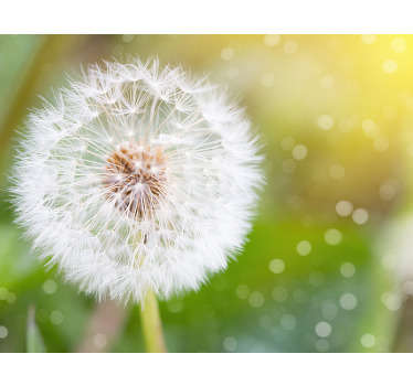 A stunning dandelion wall mural for your home! There's no need to make a wish with this flower, we make wishes come true with our amazing mural design
