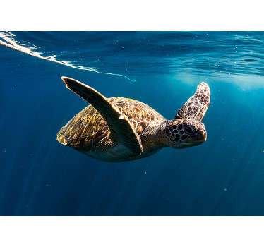 This photo wallpaper shows a stunning photo of an underwater turtle swimming peacefully. You can apply our products in every room that you want.