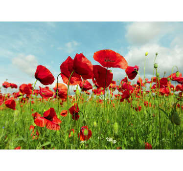 This floral photo wallpaper shows a huge field with beautiful poppies. The bright red will be the highlight of your home!
