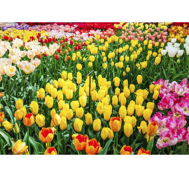 A beautiful tulip flower wall mural design. This design contains tulips in multiple of colours like a garden. This product is easy to apply.
