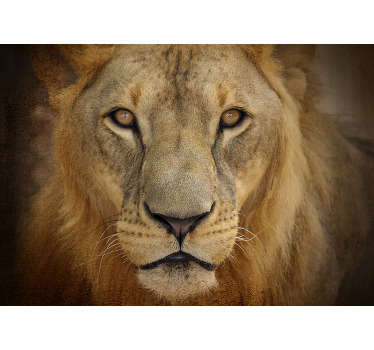 A wild lion's face animal wall mural in your dinning or living room to create a wildlife view that will beautify your home  and also exciting to watch.
