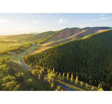 Australian countryside City wall mural - TenStickers