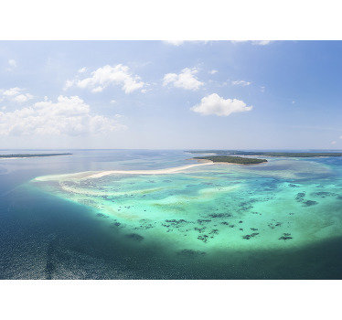 Coral Reef from above sea wall mural - TenStickers