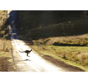 Animal wall mural Kangaroo On Road - TenStickers