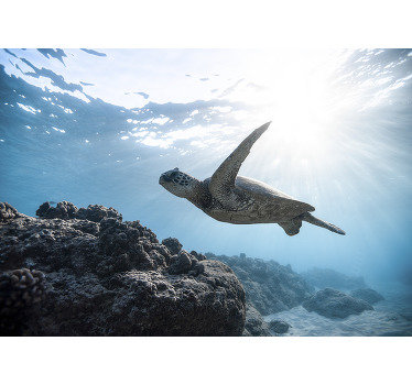 Goditi la nostra carta da parati fotografica, che raffigura una tartaruga d'acqua rilassante che si diverte a nuotare. Scegli un design adatto alla tua decorazione murale.