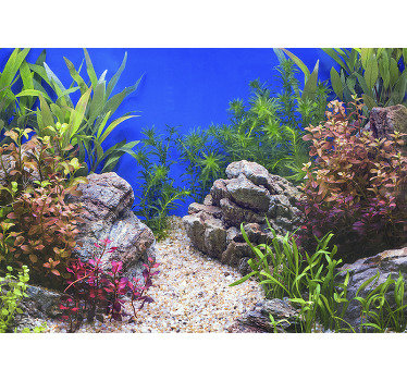 Undervands sten og planter havfototapet - TenStickers