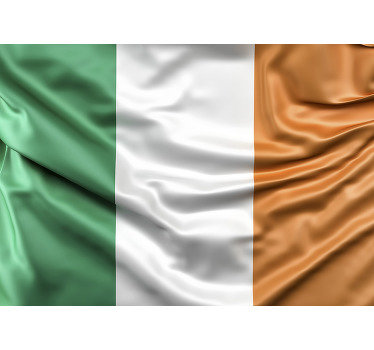 Flag of ireland City wall mural - TenStickers