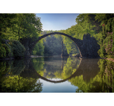 Fototapeta natura odbicie mostu - TenStickers