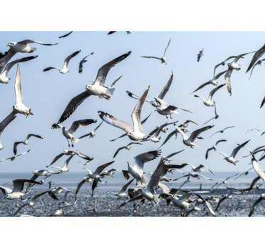 Fotobehang vliegende meeuwen - TenStickers