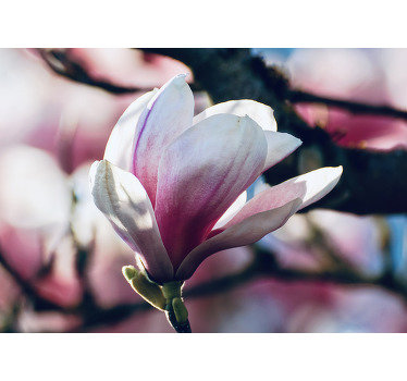 Fotomural pared de magnolia de primavera - TenVinilo