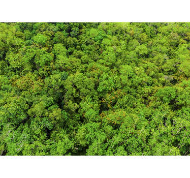 Fototapeta las z lotu ptaka - TenStickers