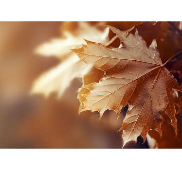 Jesen list foto zidni mural - TenStickers