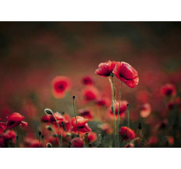 Lush Field poppy wall mural - TenStickers