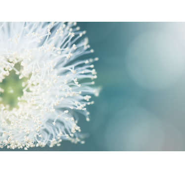 Flower wall mural dandelion seeds - TenStickers