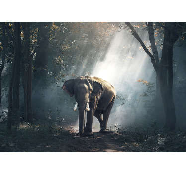 This beautiful forest wall mural shows images of an Elephant in the forest on his own, and therefore definitely something you can't miss!