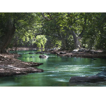 Esta imagem bonita e suave de um rio na floresta será ótima em sua casa! O nosso mural de parede decorativo de paisagens é produzido no tamanho que desejar.
