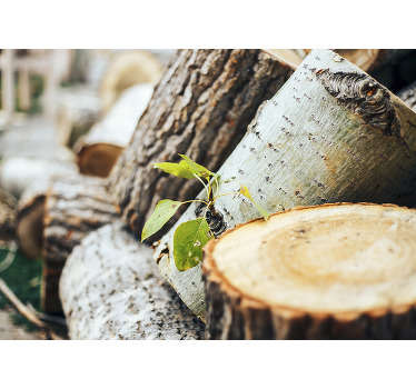 Fotomural naturaleza de hojas sobre tronco - TenVinilo