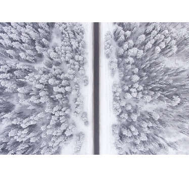 Fototapeta krajobraz droga przez śnieżny las - TenStickers