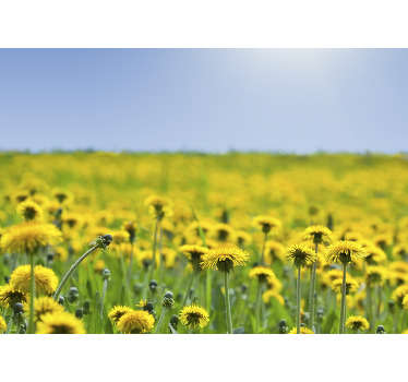 Yellow dandelion field Wall Mural - TenStickers