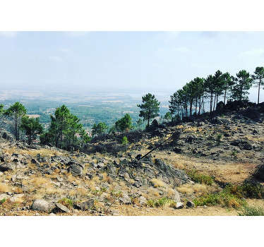 Mural de parede decorativo de paisagens do Gerês - TenStickers