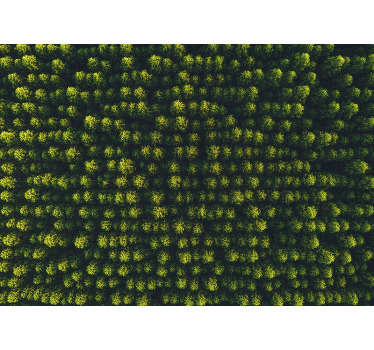 Luftfoto skov træer fototape - TenStickers