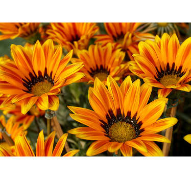 Lijepi suncokreti livadni zidni mural - TenStickers