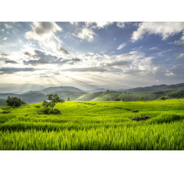 Serene Green Fields landscape wall mural - TenStickers