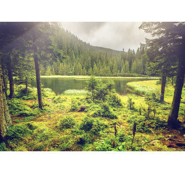 Godetevi il vostro bosco privato con questo murale foresta di alberi. Ordinate questo pezzo di natura a casa vostra. Immagine di alta qualità!