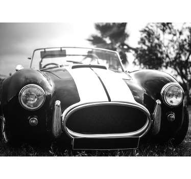 ταπετσαρία φωτογραφία vintage αγωνιστικό αυτοκίνητο - TenStickers