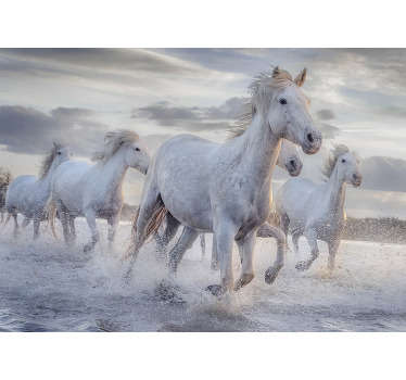 Beautiful animal wall mural full of horses running through the choppy water enjoying the wind surrounding their body. Free delivery!