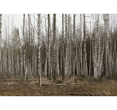 A rather mysterious vibe surrounds this grey birch forest wall mural. Buy it now to experience a mystical atmosphere at home.