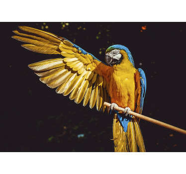 Aproveite o mural de parede de animais com um papagaio que ficará perfeito em qualquer parede da sua casa. Fácil de aplicar.